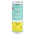 Collective Project - Mango Pineapple & Coconut Sparkling Juice Blend - 1x355ml