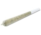 Tilray Canaca Blend 14 Pre Rolled 1.5g