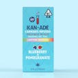 KAN-ADE 1000mg Syrup Blueberry & Pomegranate