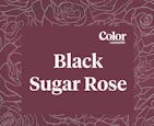 Color Cannabis - Black Sugar Rose