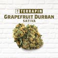 Terrapin | Grapefruit Durban | 3.5g