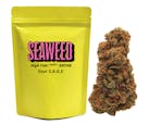 Seaweed High Tide Sour S.A.G.E.