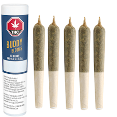 Buddy Blooms - Lil Buddy Indica - 5x0.5g