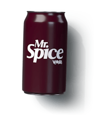 Versus - Mr. Spice 355 ml Soda