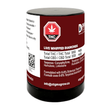 Dab Bods - Dab Bods Sherbet Queen 1.2g Live Whipped Diamonds