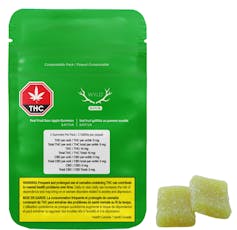 Wyld - Wyld Real Fruit Sour Apple 2 x 4g Soft Chews
