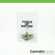 Force of Nature Blueberry Pie 3.5g Flower