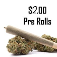Honey Biscuit Pre-Roll