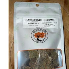 SUNDAE DRIVER-14g