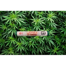 D & D Dank Rolls-Orange Creamsicle