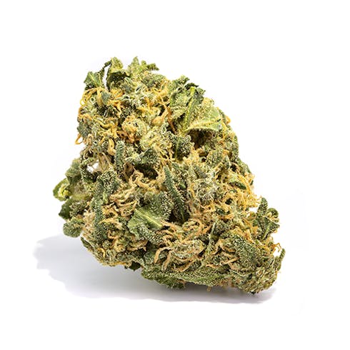 HASH PLANT