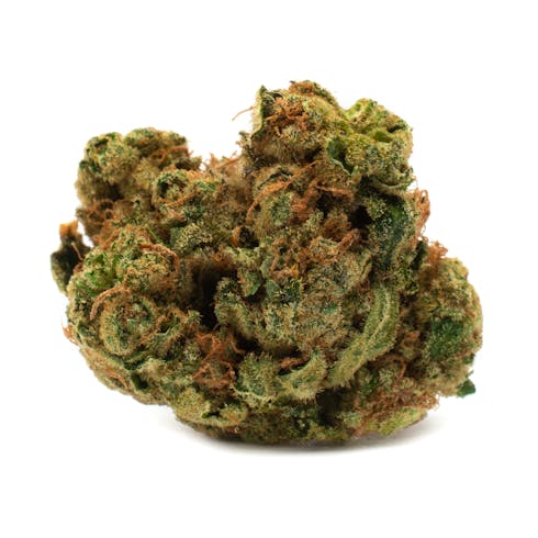 Houseplant Indica