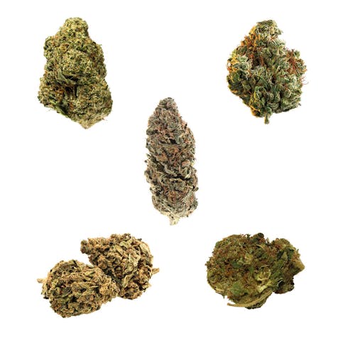Discovery Series Vol. 1 Multi-pack - AHLOT