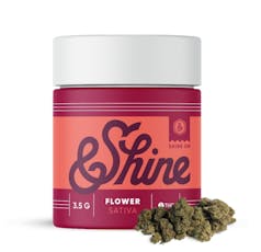 &Shine Jack Herer 3.5g