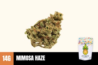 14g Mimosa Haze (Greenhouse) - Humble Root