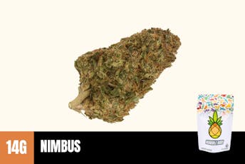 14g Nimbus (Greenhouse) - Humble Root