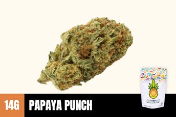 14g Papaya Punch (Greenhouse) - Humble Root