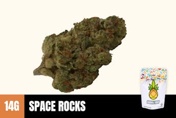 14g Space Rocks (Greenhouse) - Humble Root