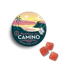 Watermelon Lemonade - 100mg "Bliss" Gummies (Camino)