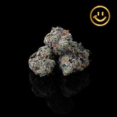 Eugreen Farms | Blue MaraZchino | indoor flower