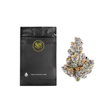 1g French Lotus (Indoor) - Maven