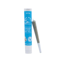 1g Citrus Punch (Greenhouse) Pre-Roll - Wave Rider