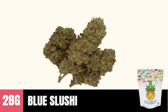 28g Blue Slushi (Greenhouse) - Humble Root