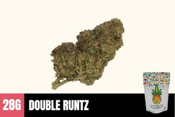 28g Double Runtz (Greenhouse) - Humble Root