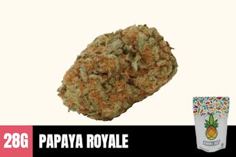 28g Papaya Royale (Greenhouse) - Humble Root