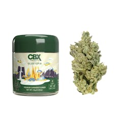 3.5g Gluetopia (Indoor) - CBX