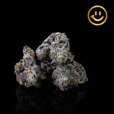 LUVLI | Leftovers #11 | indoor flower