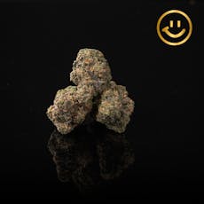 Grown Rogue | Bacio Mintz | indoor flower