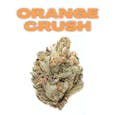 Orange Crush 8th (Good Tree)