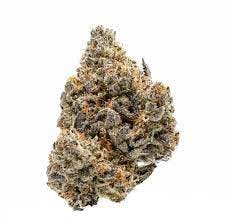 PROPER - BISCOTTI 3.5 GRAMS