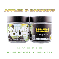 Apples & Bananas 3.5g Flower Jar | Animal House