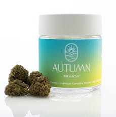 Autumn Brands 3.5g Sour Power #69