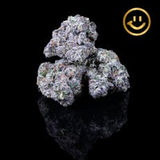 Rose Bud Growers | Ultra Violet | indoor flower