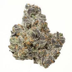 BD Apple Fritter | 3.5g