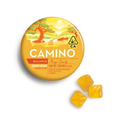 CAMINO - 1:1 CBD MANGO SERENITY 100MG - KIVA CONFECTIONS