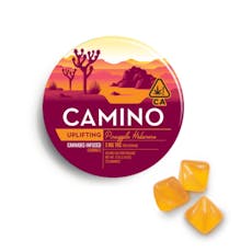 CAMINO - PINEAPPLE HABANERO 100MG - KIVA CONFECTIONS
