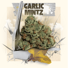 BELUSHI'S FARM - GARLIC MINTZ 3.5 GRAMS
