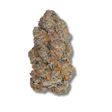 Bizcotti | 3.5g