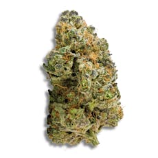 Black Maple - Organic | 3.5g