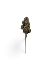 Blue Lobster 3.5g Hemp Flower