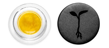 RAW GARDEN: Carbon Fiber 1g Live Sauce (H)