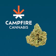 CC Original Glue | 4g