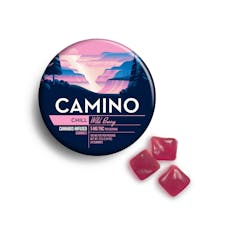 Wild Berry 5mg Gummies 20 Pack | Camino