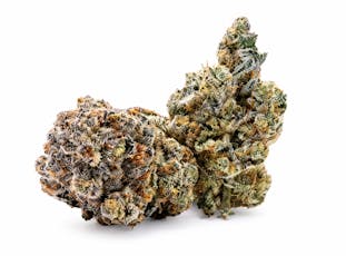 Fight Club | Flower Case | Pre-Packed 4g (Campfire Cannabis)