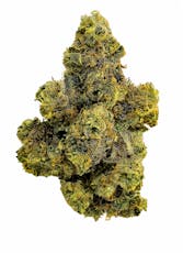 Purple Octane | Flower Case | Pre-Packed 4g (Campfire Cannabis)