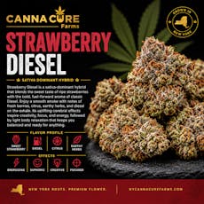 Canna Cure | 0.7g Mylar Dime Bag | Strawberry Diesel